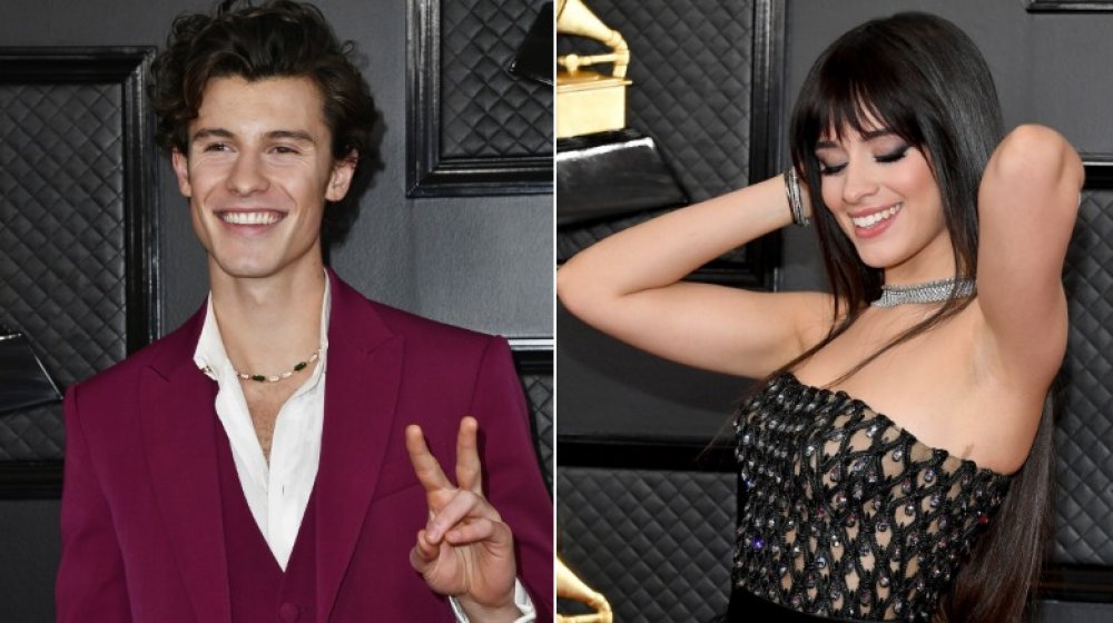 Shawn Mendes and Camila Cabello