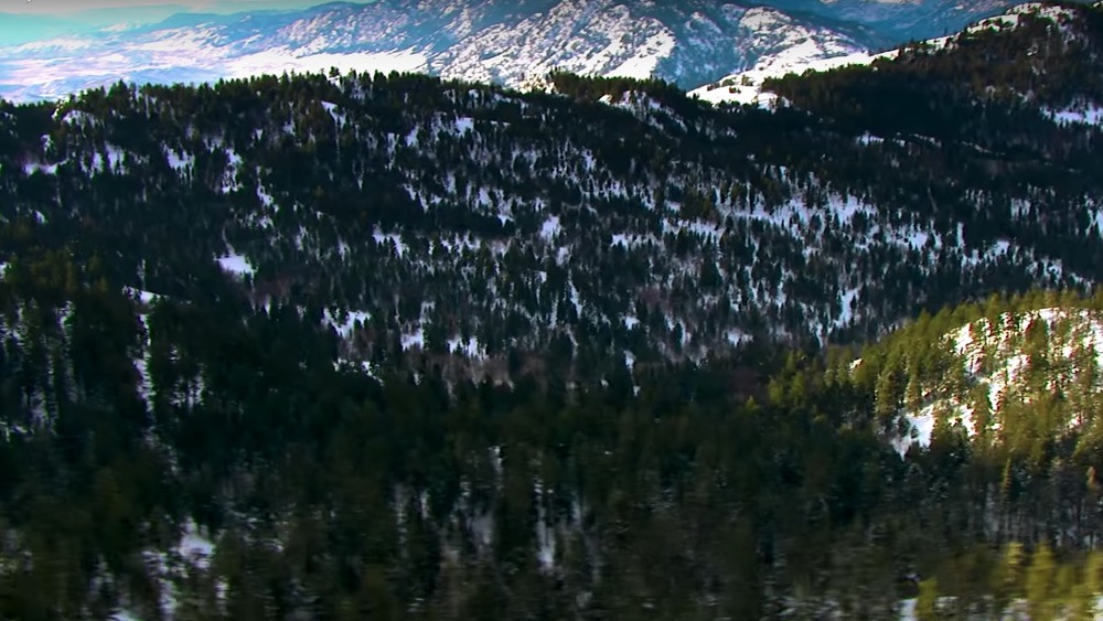 Palmer Mountain 