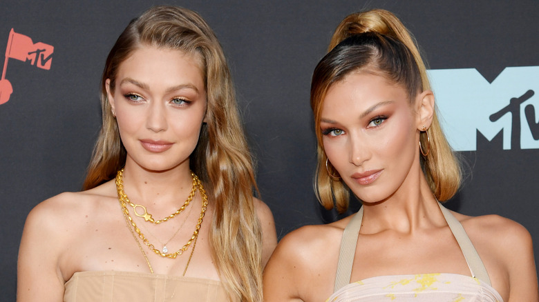 Gigi Hadid and Bella Hadid