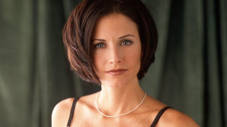 Courteney Cox as Monica Geller