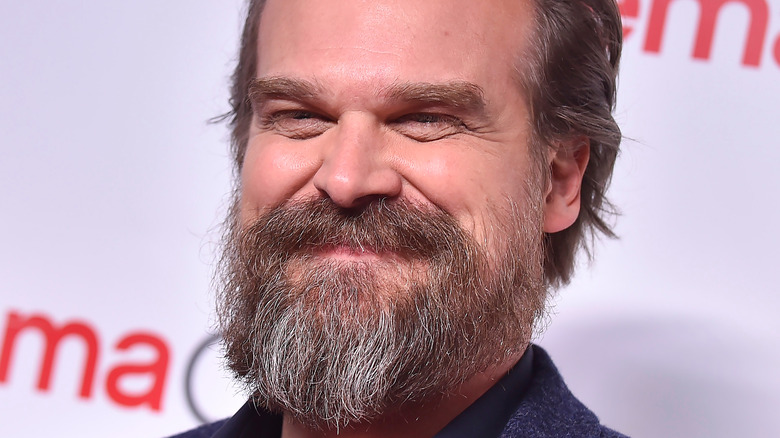 David Harbour on red carpet