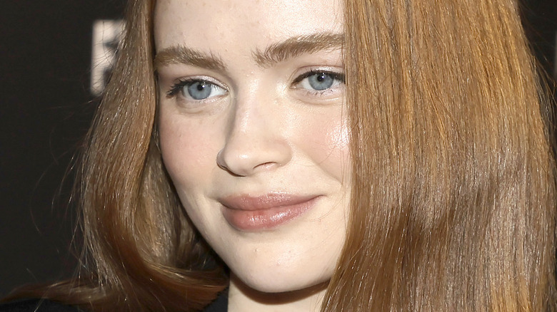 What You Don T Know About Sadie Sink