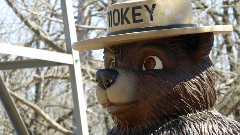 Smokey the Bear statue in woods