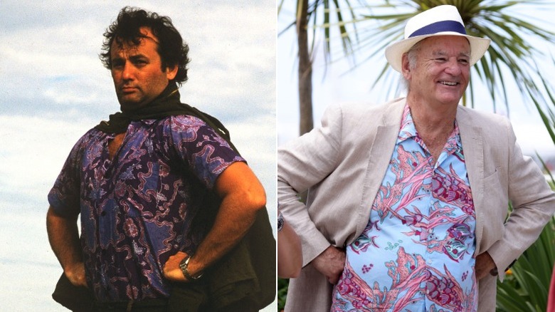 Young and old Bill Murray image split