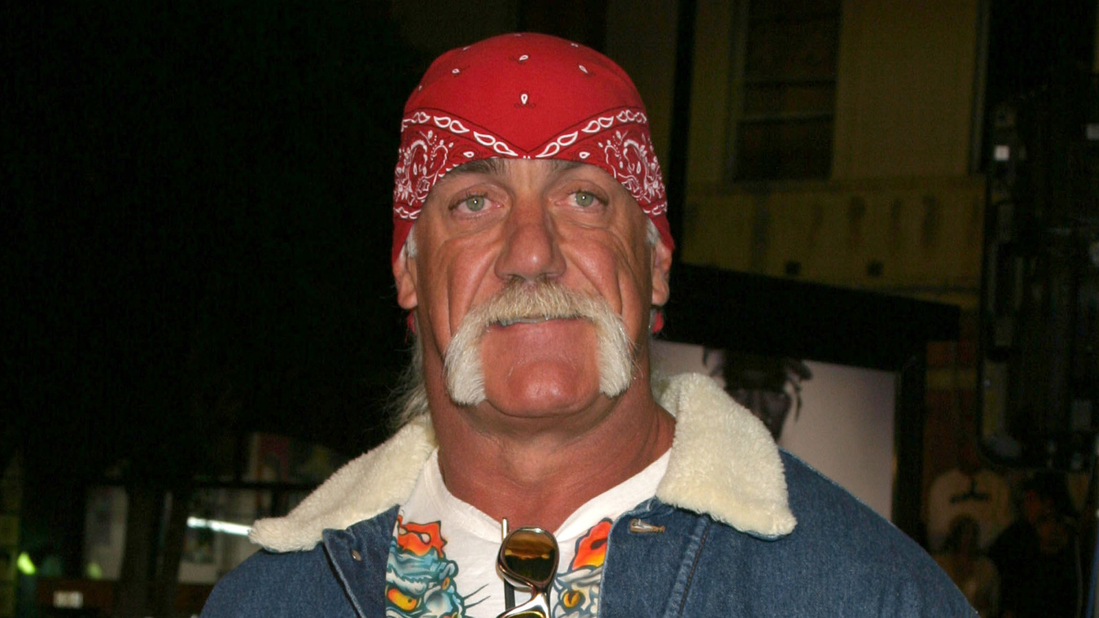 Whatever Happened To Hulk Hogan pic photo