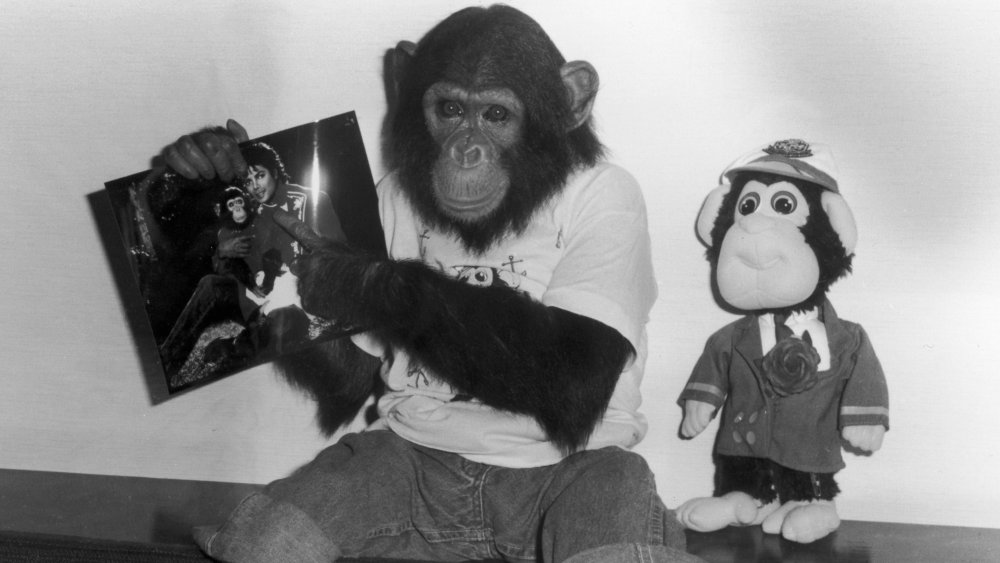 Bubbles the Chimp