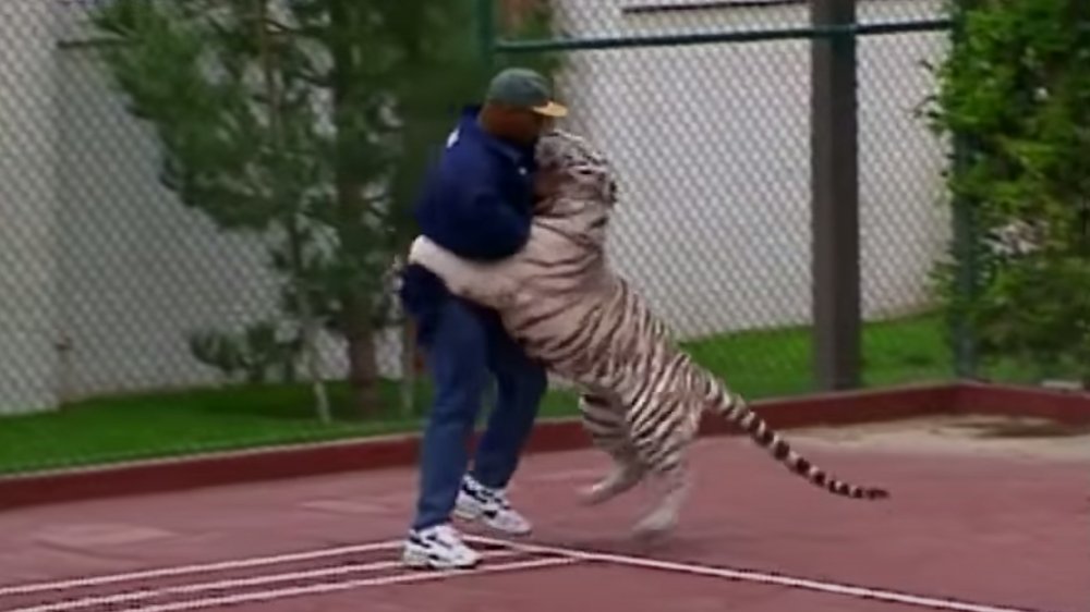 Mike Tyson with a tiger