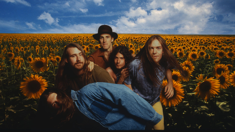 Blind Melon sunflowers backdrop