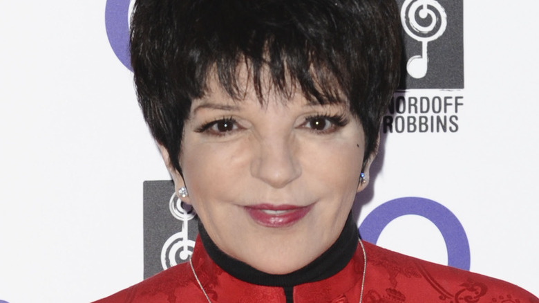 Liza Minnelli