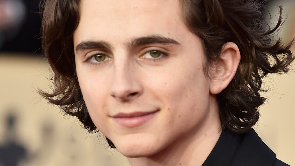 Timothee Chalamet smiles on the red carpet