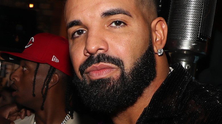 Bearded Drake posing
