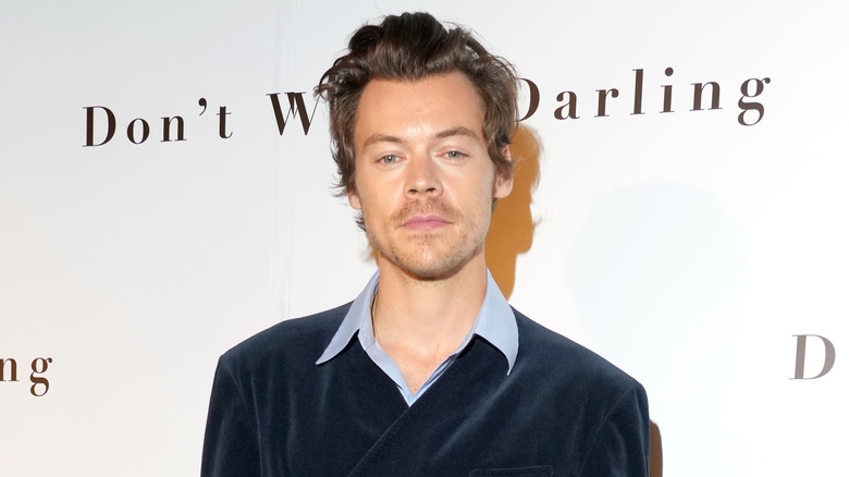 Harry Styles posing 
