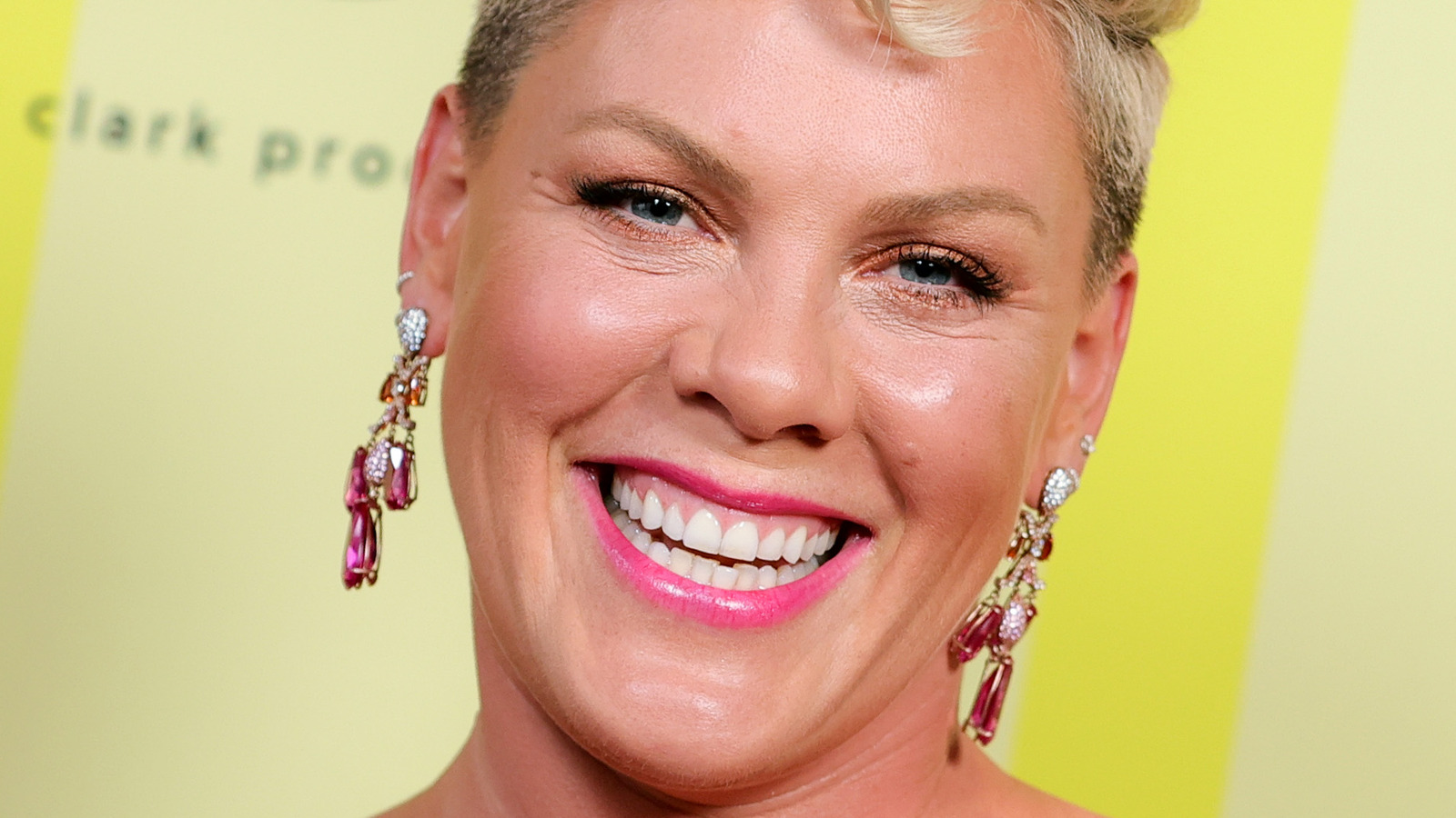 Where Does Pink Live And How Big Is Her House?