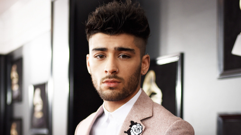 Zayn Malik posing