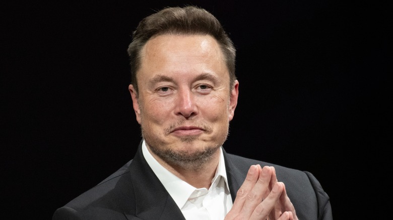Elon Musk looking smug 
