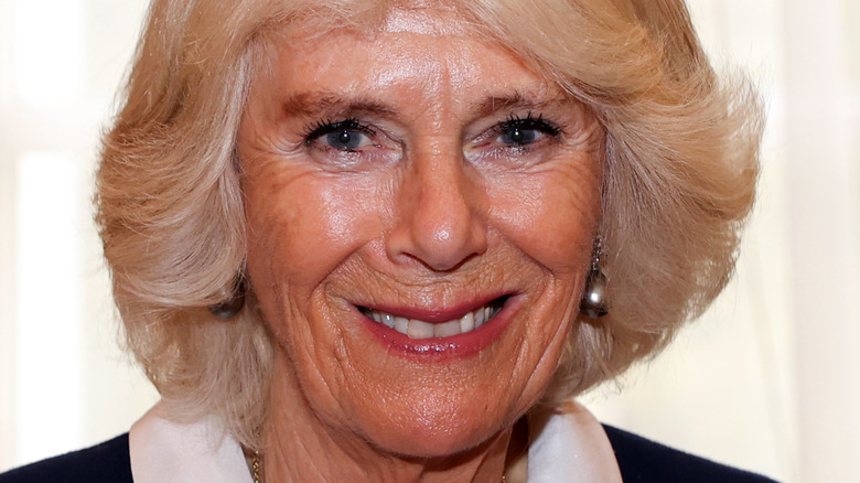 Camilla, Duchess of Cornwall smiling