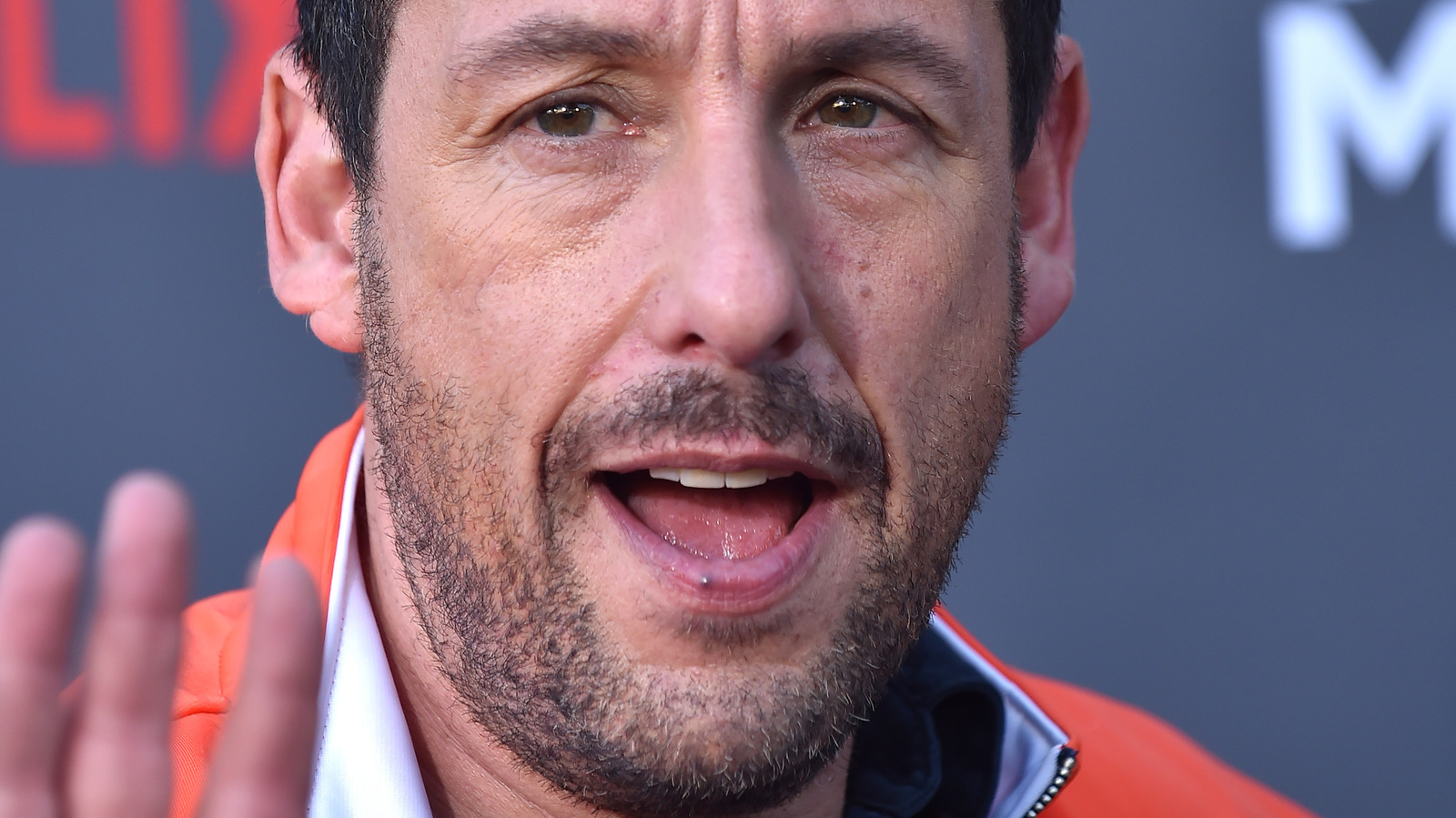 Who Is Adam Sandler
