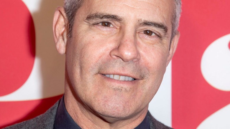 Andy Cohen posing