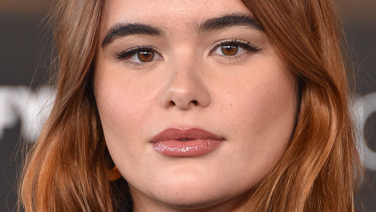 Who Is Barbie Ferreira's Girlfriend, Elle Puckett?