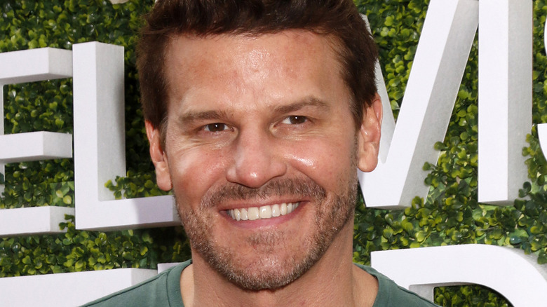 David Boreanaz in 2017