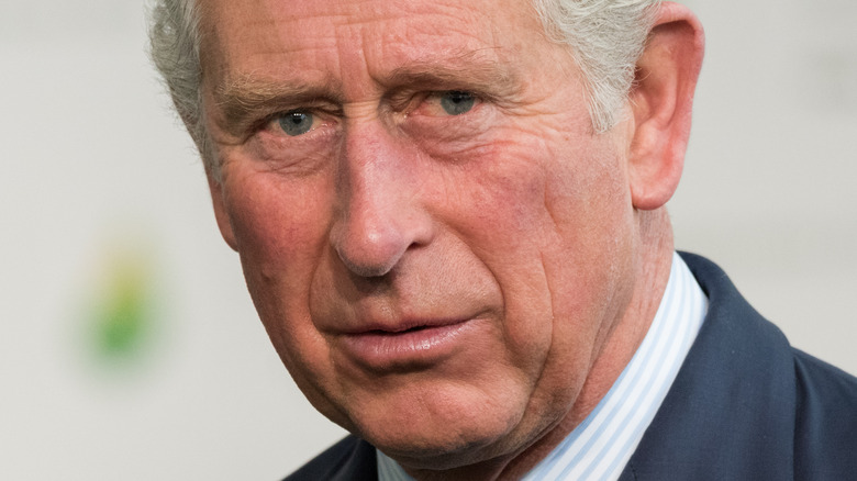 Prince Charles posing in a navy suit