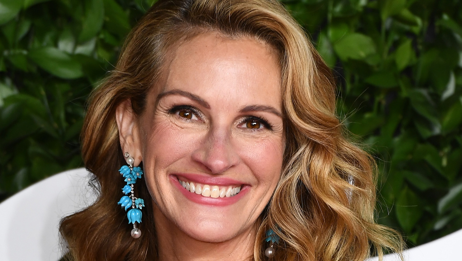 Who Is Julia Roberts Husband Daniel Moder