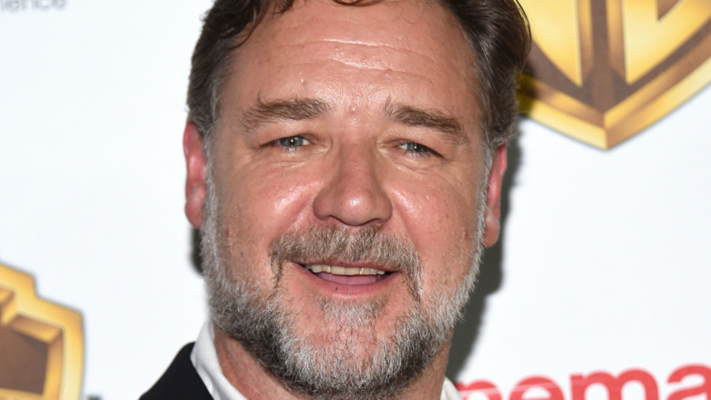 Russell Crowe, The Big Picture premiere red carpet