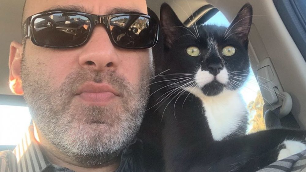Leo Assaf in a selfie with his cat 