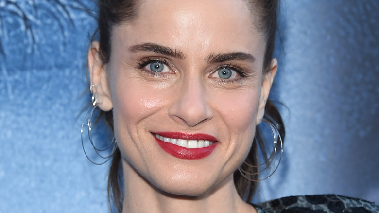 Amanda Peet posing on the red carpet
