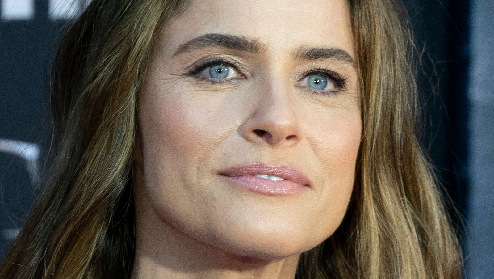 Why Amanda Peet Has Disappeared From Hollywood