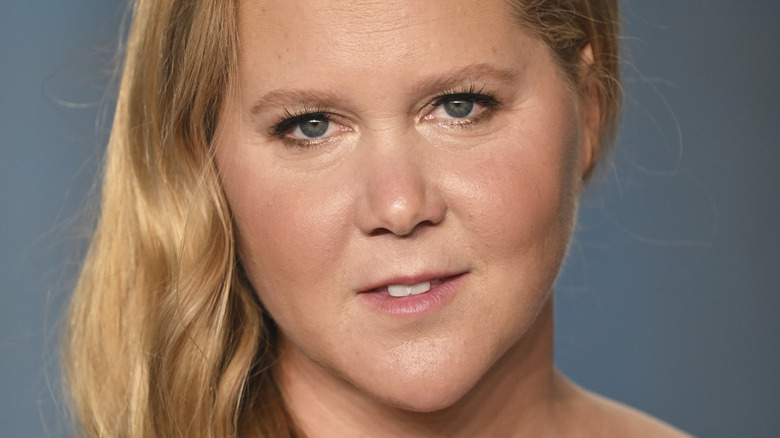 Amy Schumer Makeup
