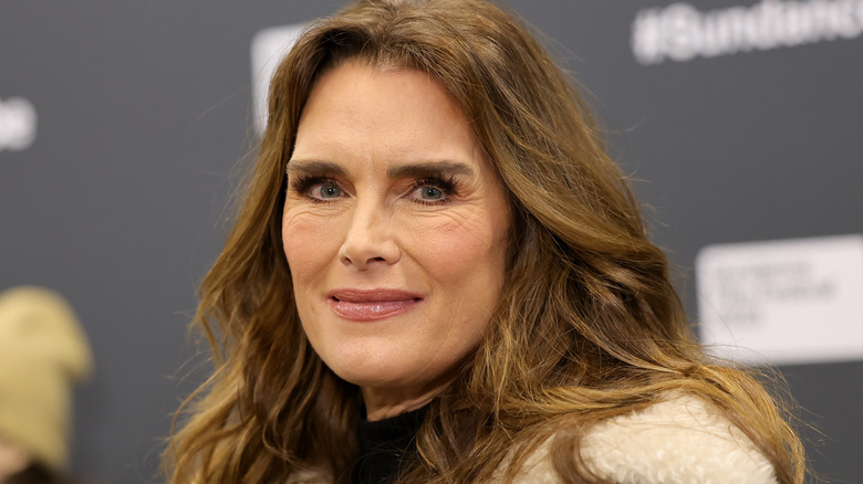 Brooke Shields smiles at a premiere in 2023