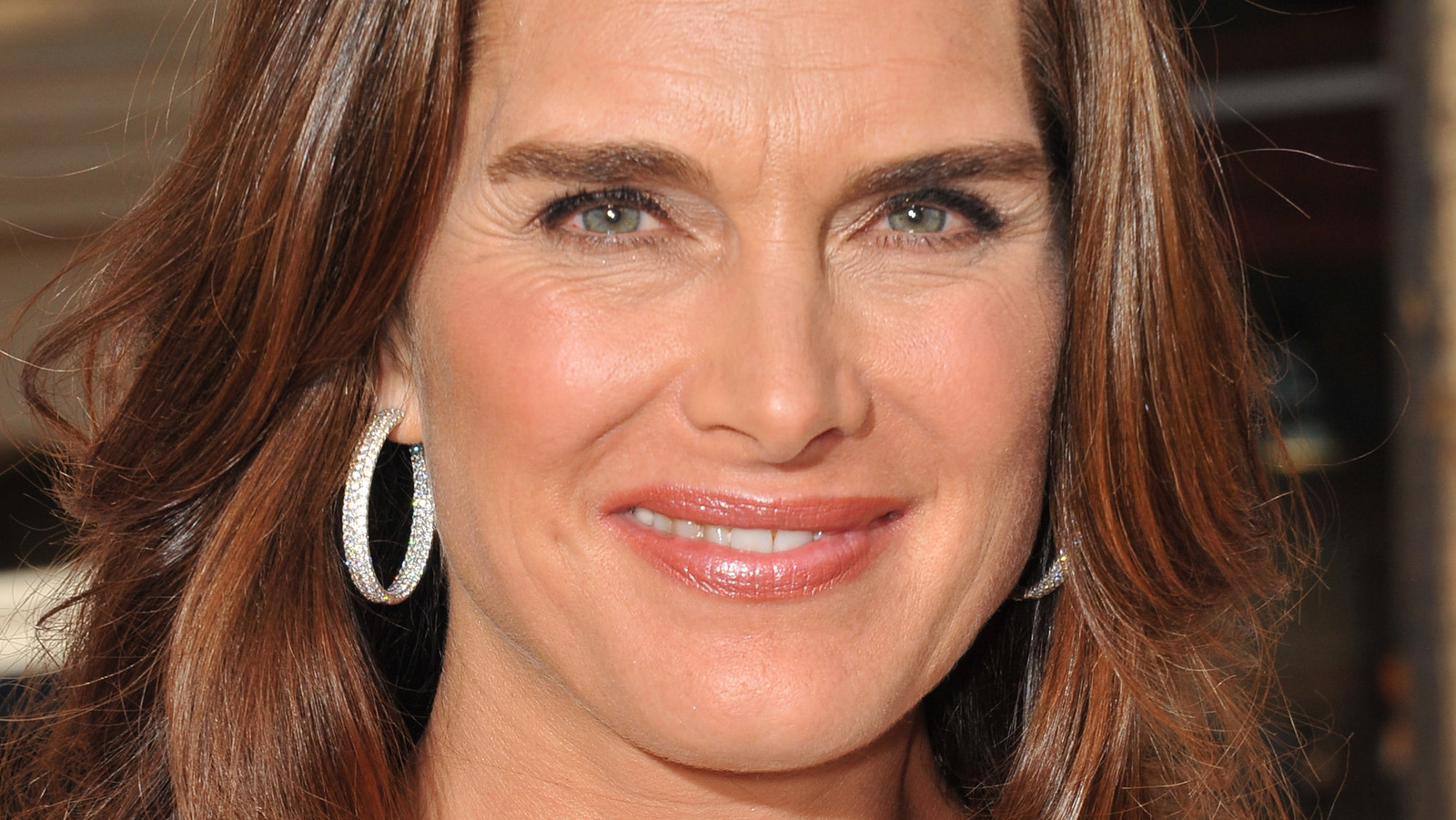 Why Brooke Shields And Liam Neeson’s Brief Romance Didn’t Work Out – Nicki Swift