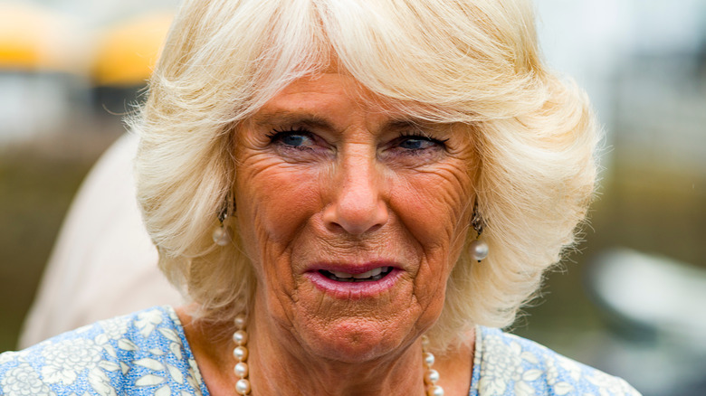 Camilla Parker Bowles smling