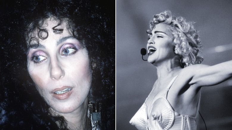 Cher and Madonna 1990s split image