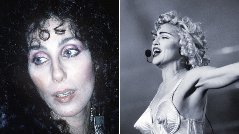 Cher and Madonna 1990s split image