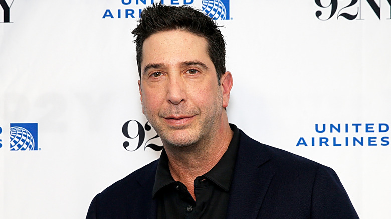 David Schwimmer posing