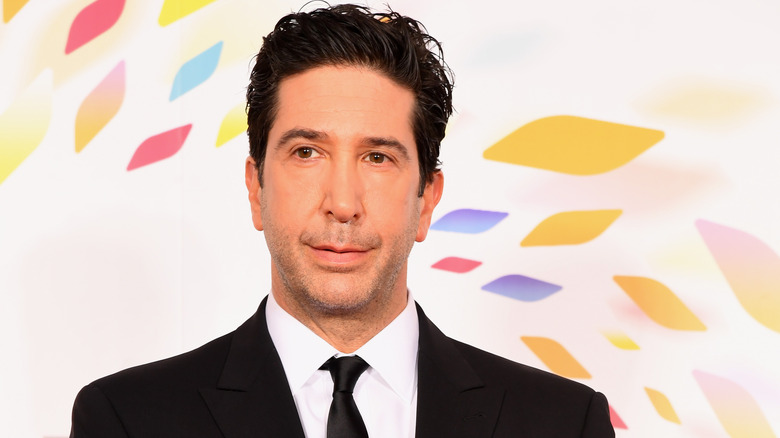 David Schwimmer smiling