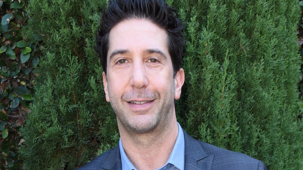 David Schwimmer, who played Ross Geller on Friends