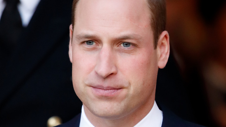 Prince William, posing