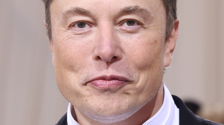 Elon Musk smiling closeup