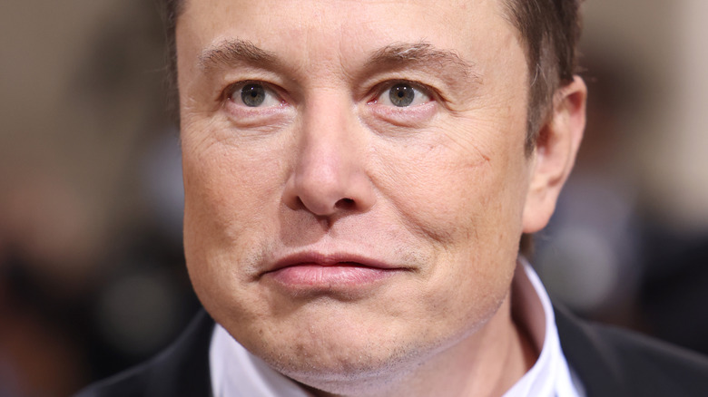 Elon Musk with a neutral expression