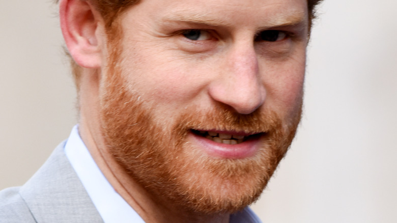 Prince Harry posing