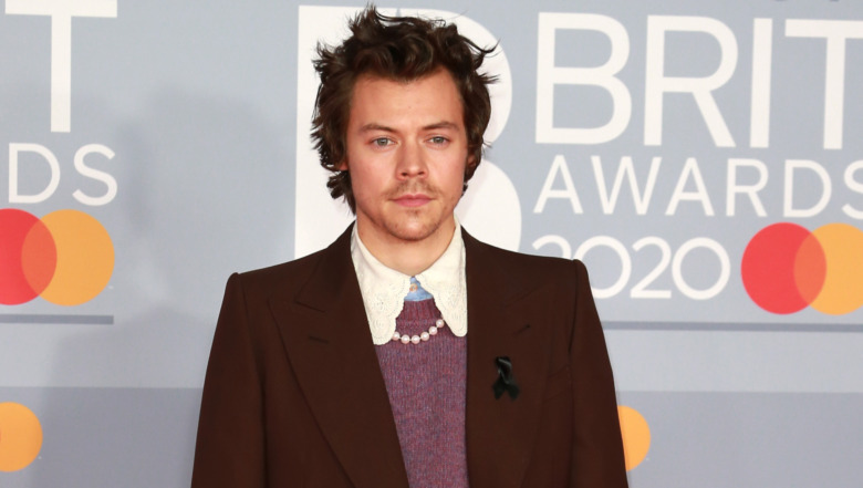 Harry Styles posing
