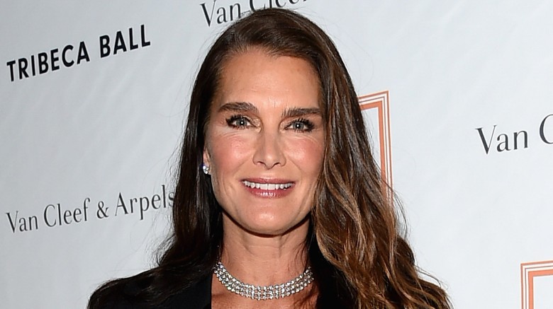 Why Hollywood Won't Cast Brooke Shields Anymore