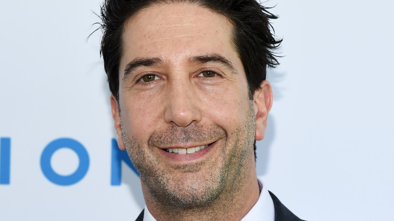 David Schwimmer smiling