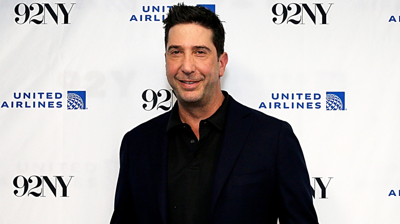 Did Hollywood Forget About David Schwimmer? Here's The Situation