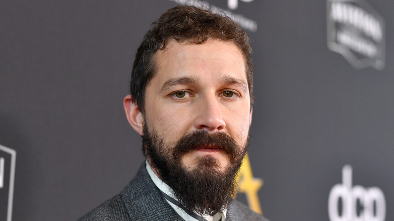 Shia LaBeouf posing