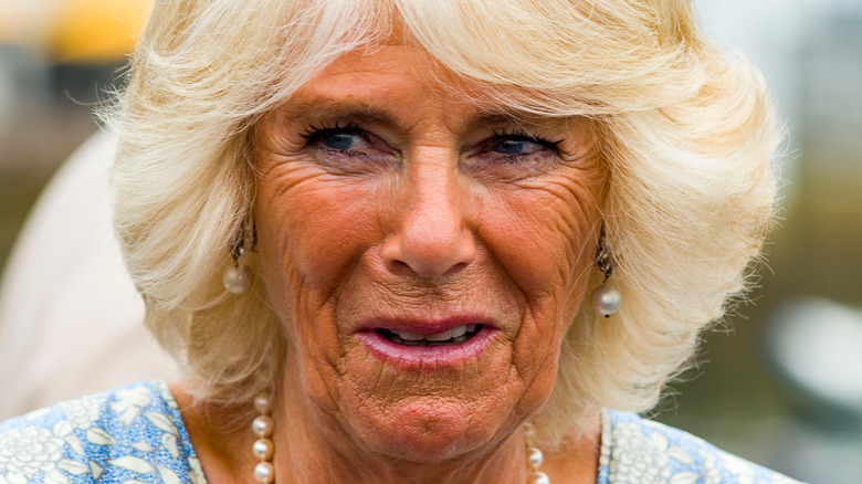 Camilla Parker-Bowles photographed in a crowd