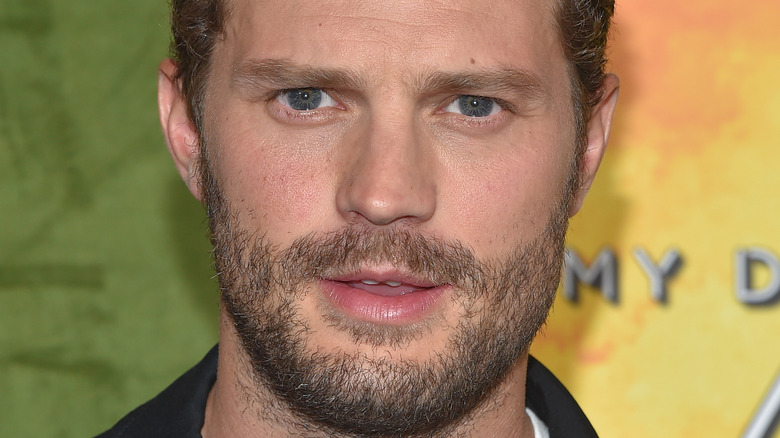 Jamie Dornan arrives at an HBO premiere